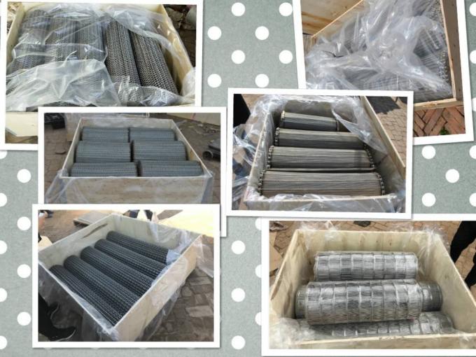 SUS316L 스테인레스 강 운반할 수 있는 컨베이어 벨트 제작 메쉬선 6